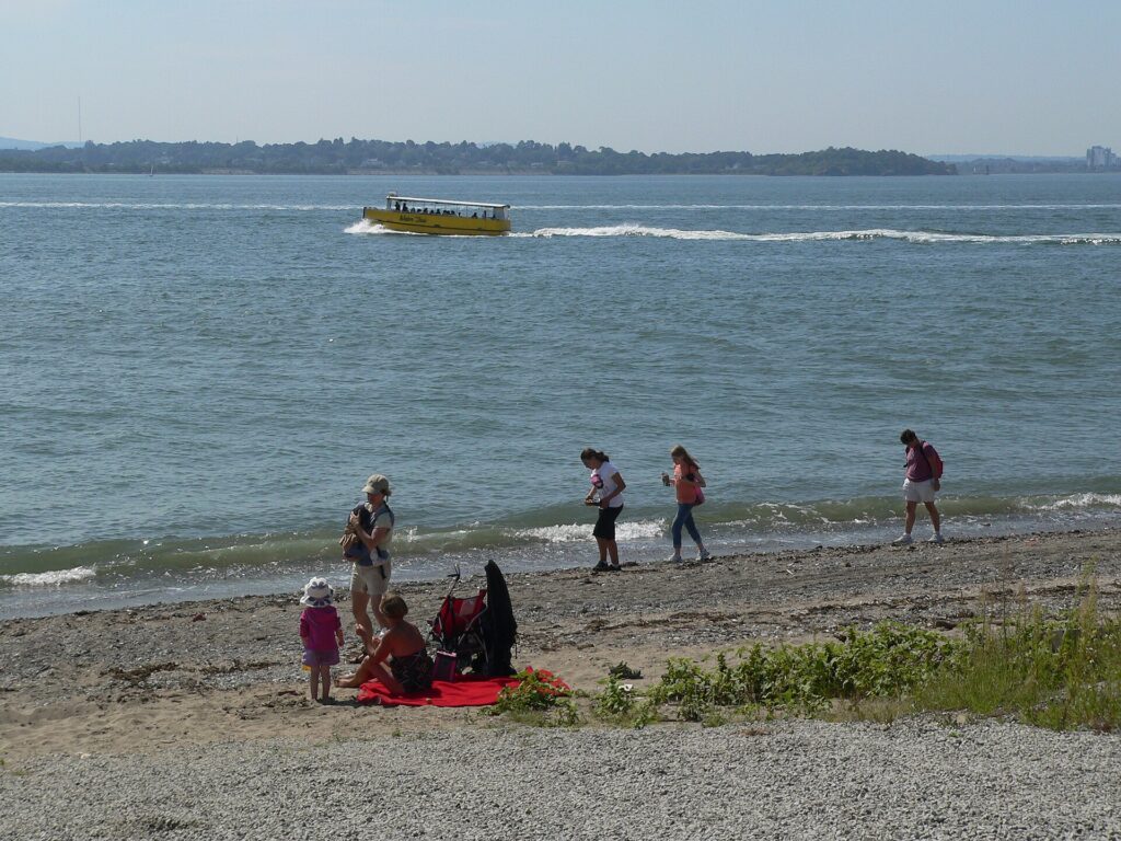 Boston Harbor Islands guide: visitors on the shore of Spectacle Island